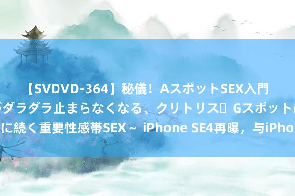 【SVDVD-364】秘儀！AスポットSEX入門 ～刺激した瞬間から愛液がダラダラ止まらなくなる、クリトリス・Gスポットに続く重要性感帯SEX～ iPhone SE4再曝，与iPhone 16圭表版多处相似