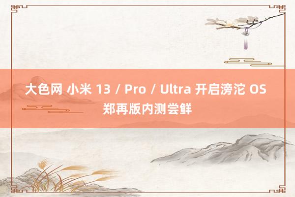 大色网 小米 13 / Pro / Ultra 开启滂沱 OS 郑再版内测尝鲜