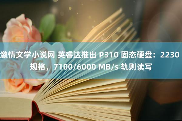 激情文学小说网 英睿达推出 P310 固态硬盘：2230 规格，7100/6000 MB/s 轨则读写