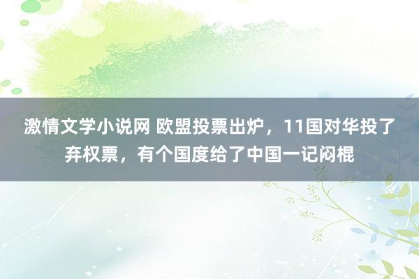 激情文学小说网 欧盟投票出炉，11国对华投了弃权票，有个国度给了中国一记闷棍