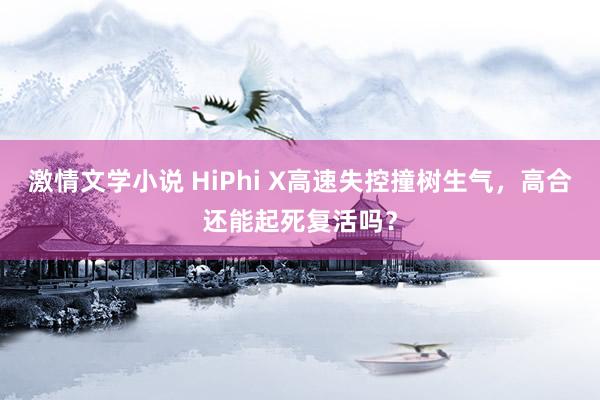 激情文学小说 HiPhi X高速失控撞树生气，高合还能起死复活吗？