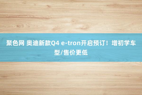 聚色网 奥迪新款Q4 e-tron开启预订！增初学车型/售价更低