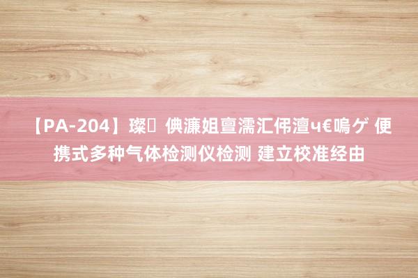 【PA-204】璨倎濂姐亶濡汇伄澶ч€嗚ゲ 便携式多种气体检测仪检测 建立校准经由