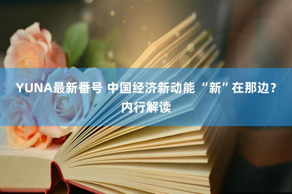 YUNA最新番号 中国经济新动能 “新”在那边？内行解读