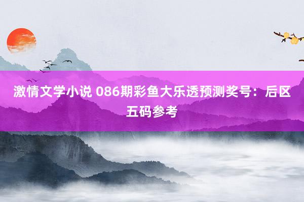 激情文学小说 086期彩鱼大乐透预测奖号：后区五码参考