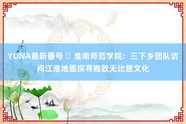 YUNA最新番号 ​淮南师范学院：三下乡团队访问江淮地面探寻雅致无比楚文化