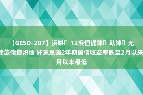 【GESD-207】浜哄12浜恒偍銉倝銉兂銉€銉笺儵銉炽儔 好意思国2年期国债收益率跌至2月以来最低