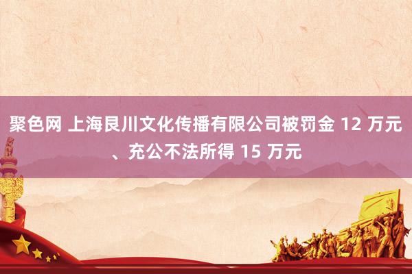 聚色网 上海艮川文化传播有限公司被罚金 12 万元、充公不法所得 15 万元