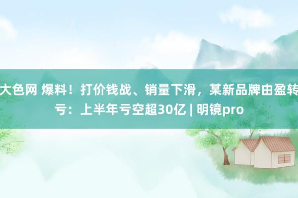 大色网 爆料！打价钱战、销量下滑，某新品牌由盈转亏：上半年亏空超30亿 | 明镜pro