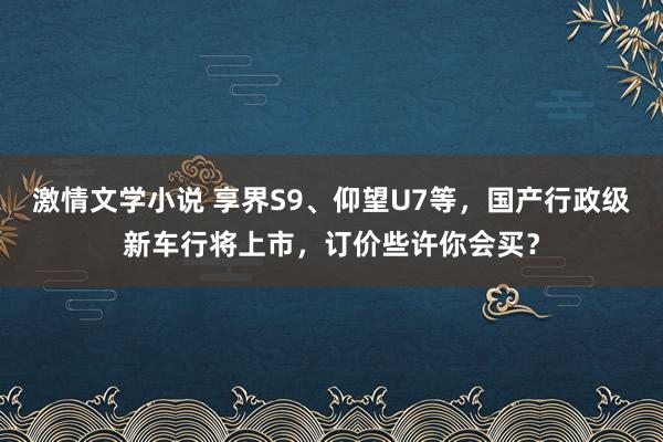 激情文学小说 享界S9、仰望U7等，国产行政级新车行将上市，订价些许你会买？