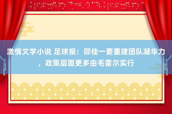 激情文学小说 足球报：邵佳一要重建团队凝华力，政策层面更多由毛雷尔实行