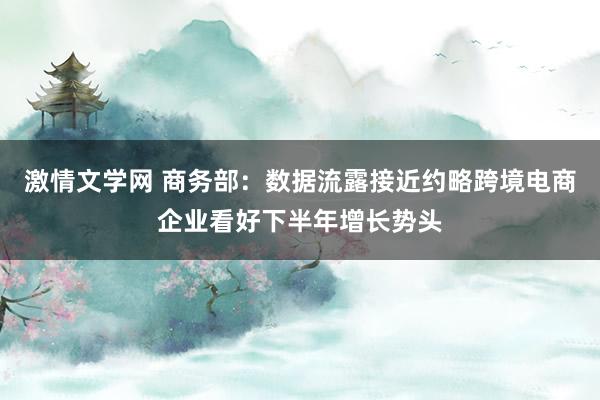 激情文学网 商务部：数据流露接近约略跨境电商企业看好下半年增长势头