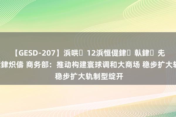 【GESD-207】浜哄12浜恒偍銉倝銉兂銉€銉笺儵銉炽儔 商务部：推动构建寰球调和大商场 稳步扩大轨制型绽开