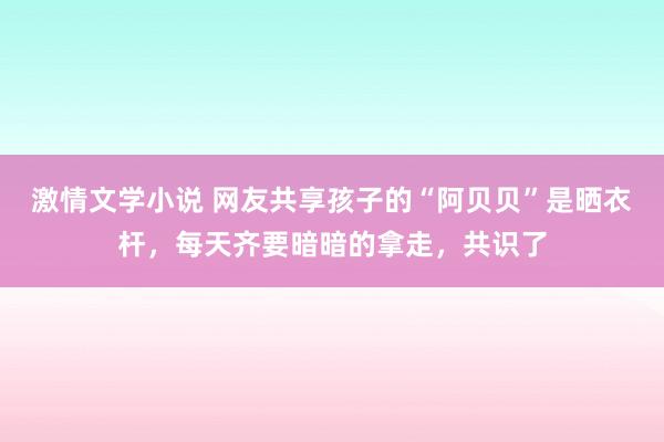 激情文学小说 网友共享孩子的“阿贝贝”是晒衣杆，每天齐要暗暗的拿走，共识了