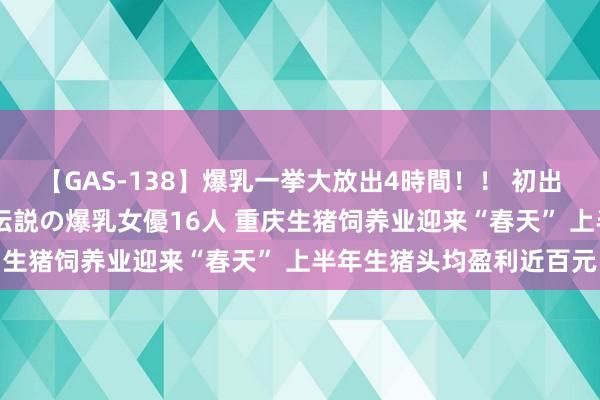 【GAS-138】爆乳一挙大放出4時間！！ 初出し！すべて撮り下ろし 伝説の爆乳女優16人 重庆生猪饲养业迎来“春天” 上半年生猪头均盈利近百元