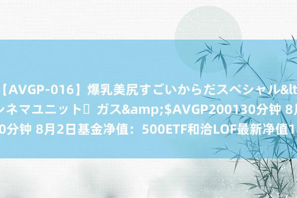 【AVGP-016】爆乳美尻すごいからだスペシャル</a>2007-12-01シネマユニット・ガス&$AVGP200130分钟 8月2日基金净值：500ETF和洽LOF最新净值1.3563，跌1.26%