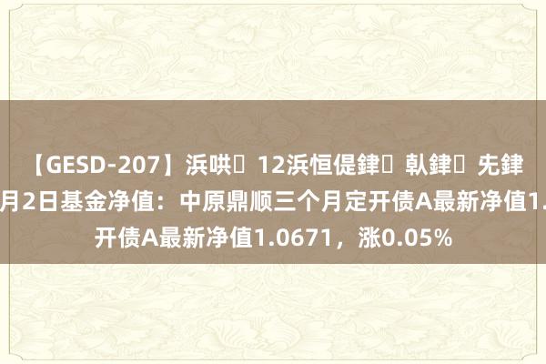 【GESD-207】浜哄12浜恒偍銉倝銉兂銉€銉笺儵銉炽儔 8月2日基金净值：中原鼎顺三个月定开债A最新净值1.0671，涨0.05%