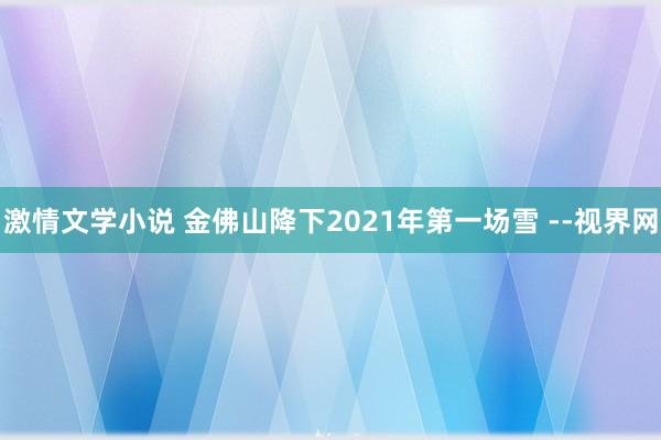 激情文学小说 金佛山降下2021年第一场雪 --视界网