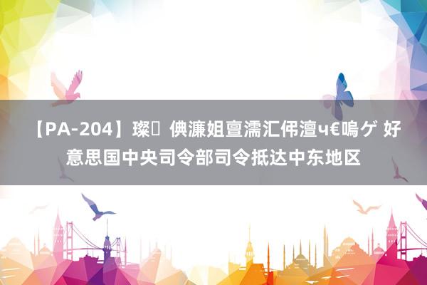 【PA-204】璨倎濂姐亶濡汇伄澶ч€嗚ゲ 好意思国中央司令部司令抵达中东地区