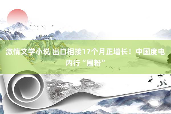 激情文学小说 出口相接17个月正增长！中国度电内行“圈粉”