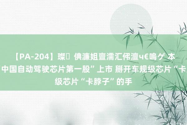 【PA-204】璨倎濂姐亶濡汇伄澶ч€嗚ゲ 本日好稿丨“中国自动驾驶芯片第一股”上市 掰开车规级芯片“卡脖子”的手