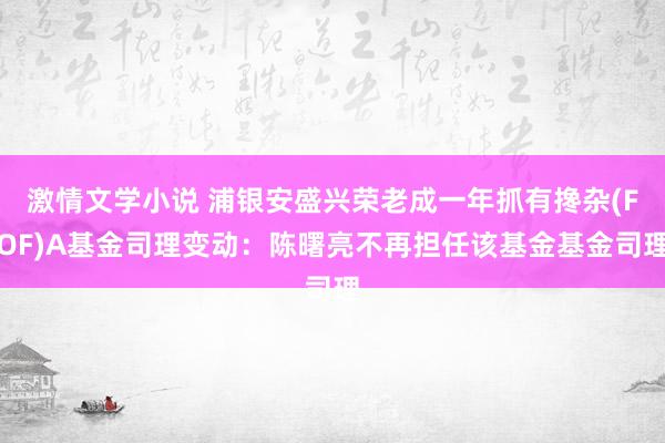 激情文学小说 浦银安盛兴荣老成一年抓有搀杂(FOF)A基金司理变动：陈曙亮不再担任该基金基金司理