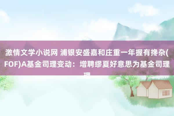 激情文学小说网 浦银安盛嘉和庄重一年握有搀杂(FOF)A基金司理变动：增聘缪夏好意思为基金司理