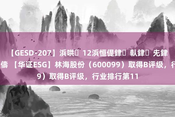 【GESD-207】浜哄12浜恒偍銉倝銉兂銉€銉笺儵銉炽儔 【华证ESG】林海股份（600099）取得B评级，行业排行第11