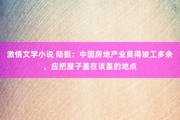 激情文学小说 陆挺：中国房地产业莫得竣工多余，应把屋子盖在该盖的地点