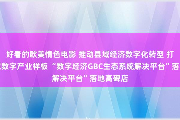 好看的欧美情色电影 推动县域经济数字化转型 打造京津冀数字产业样板 “数字经济GBC生态系统解决平台”落地高碑店