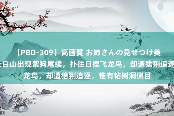 【PBD-309】高画質 お姉さんの見せつけ美尻＆美脚の誘惑 长白山出现紫狗尾续，扑往日捏飞龙鸟，却遭猞猁追逐，惟有钻树洞侧目