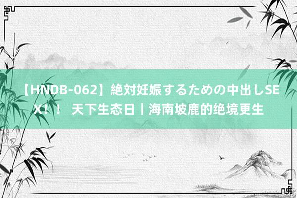 【HNDB-062】絶対妊娠するための中出しSEX！！ 天下生态日丨海南坡鹿的绝境更生