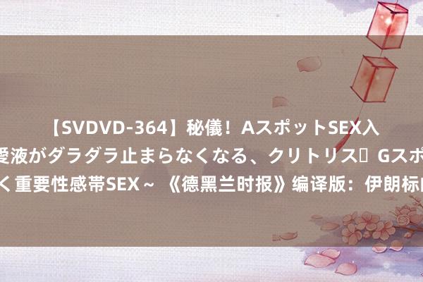 【SVDVD-364】秘儀！AスポットSEX入門 ～刺激した瞬間から愛液がダラダラ止まらなくなる、クリトリス・Gスポットに続く重要性感帯SEX～ 《德黑兰时报》编译版：伊朗标的在5年内将电子商务往来额加多2倍