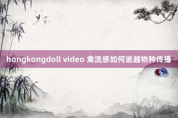 hongkongdoll video 禽流感如何逾越物种传播