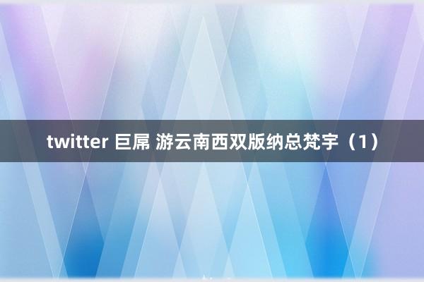 twitter 巨屌 游云南西双版纳总梵宇（1）