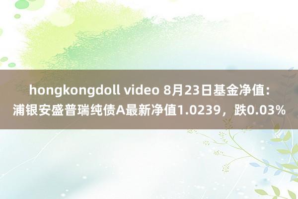 hongkongdoll video 8月23日基金净值：浦银安盛普瑞纯债A最新净值1.0239，跌0.03%