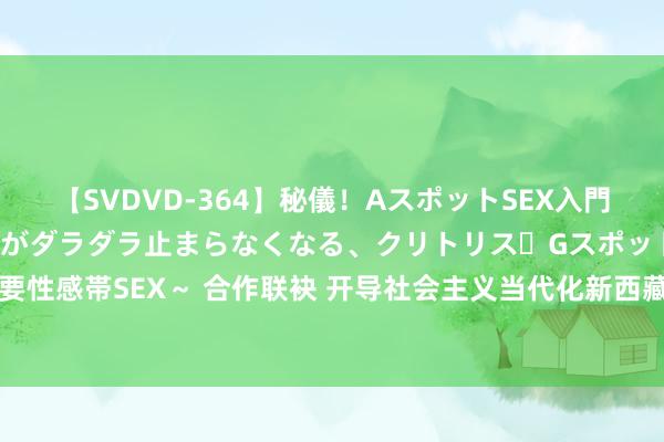 【SVDVD-364】秘儀！AスポットSEX入門 ～刺激した瞬間から愛液がダラダラ止まらなくなる、クリトリス・Gスポットに続く重要性感帯SEX～ 合作联袂 开导社会主义当代化新西藏——对口支援西藏职责30年景立综述