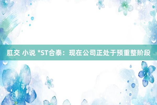 肛交 小说 *ST合泰：现在公司正处于预重整阶段