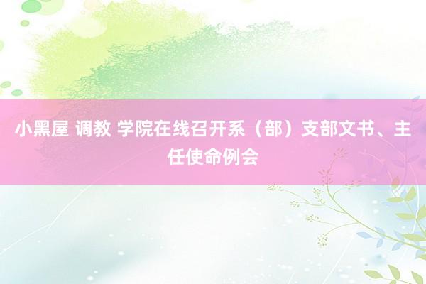 小黑屋 调教 学院在线召开系（部）支部文书、主任使命例会