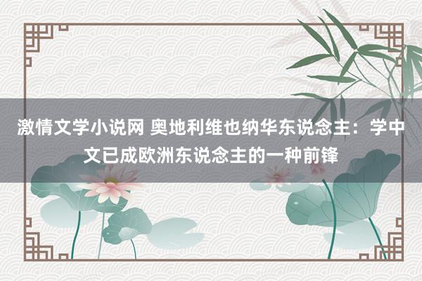 激情文学小说网 奥地利维也纳华东说念主：学中文已成欧洲东说念主的一种前锋