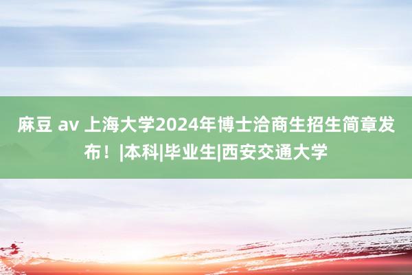 麻豆 av 上海大学2024年博士洽商生招生简章发布！|本科|毕业生|西安交通大学