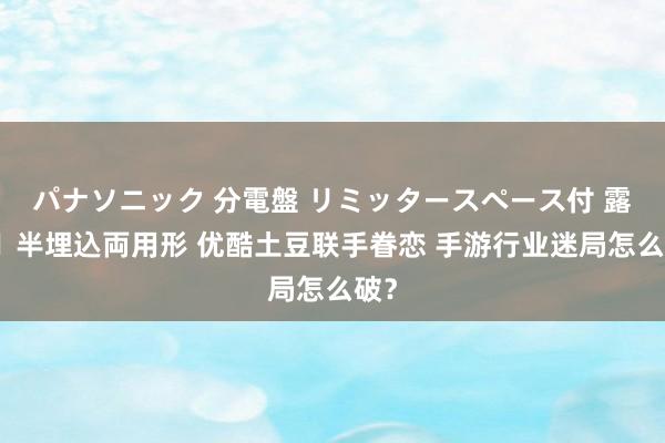 パナソニック 分電盤 リミッタースペース付 露出・半埋込両用形 优酷土豆联手眷恋 手游行业迷局怎么破？